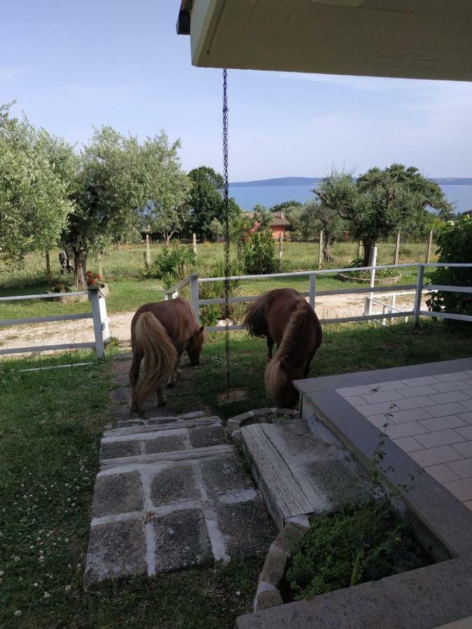 Апартаменты Il Poggio Degli Ulivi Тревиньяно-Романо Экстерьер фото
